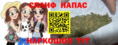 прущие крисы Пугачёв