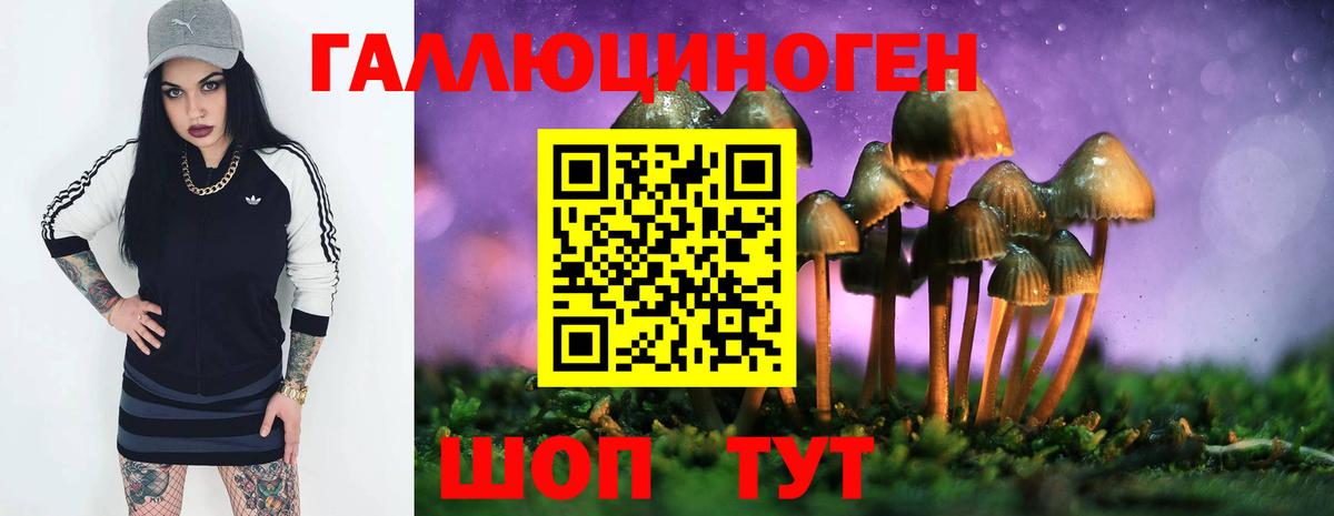 Галлюциногенные грибы MAGIC MUSHROOMS  Вход с VPN  Норильск  Псилоцибиновые грибы Magic Shrooms 